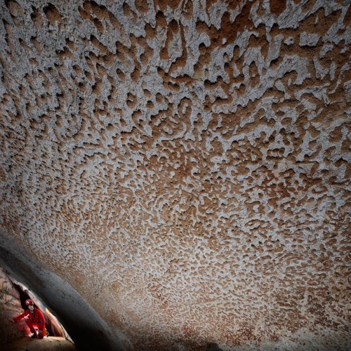 Otoska Jama (Slovénie) - Paroi d'une petite salle en "peau de léopard" (dépôts d'argile)(SP-17-0434)