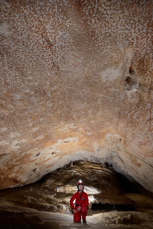 Otoska Jama (Slovénie) - Plafond et parois d'une petite salle en "peau de léopard" (dépôts d'argile)(SP-17-0429)