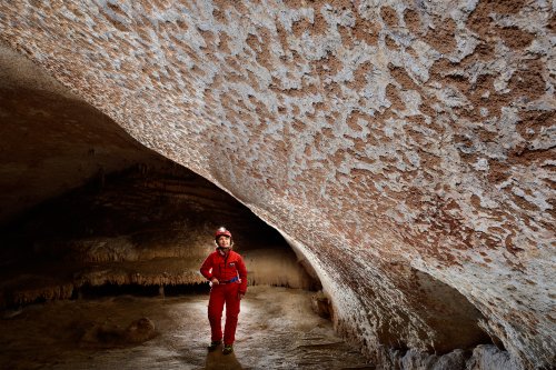 Otoska Jama (Slovénie) - Paroi d'une petite salle en "peau de léopard" (dépôts d'argile)(SP-17-0430)