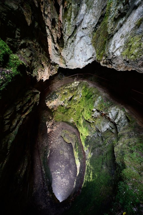 Dimnice Jama (Slovénie) - Puits d'entrée aménagé avec rampe en colimaçon(SP-17-0476)