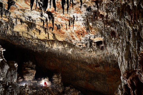Dimnice Jama (Slovénie) - Spéléo au milieu d'une grande salle concrétionnée avec grandes stalactites grises sur plafond orange(SP-17-0486)