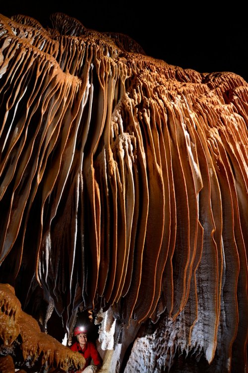 Grotte de Clamouse - Spéléo sous de grandes draperies rouges sur une paroi (SP-17-0344)