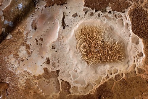 Caverna do Diabo (Eldorado, Sao Paulo) - Vasque dans un gour de calcite rose. (SP-16-0403)