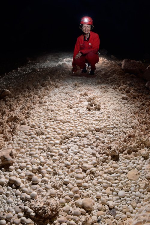 Lapa do Janelao (Itacarambi, Minas Gerais)- Sol couvert de perles des cavernes.(SP-16-0494)