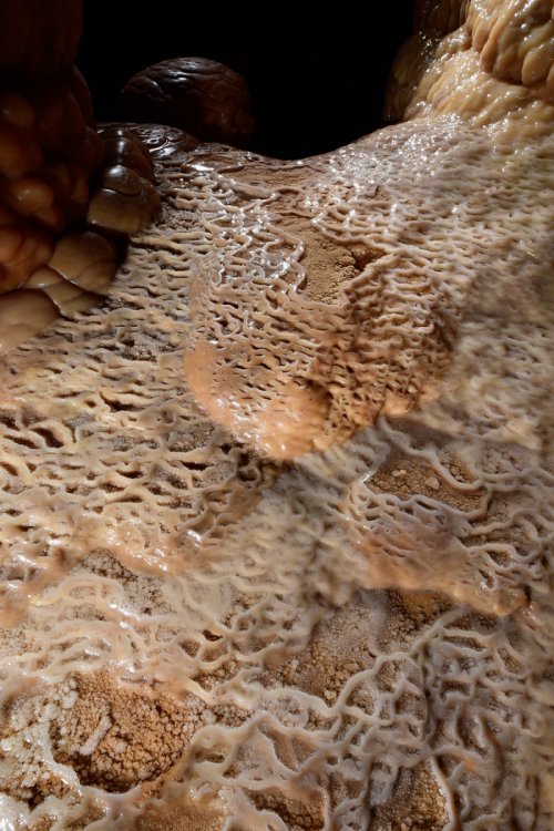 Grotte de Clamouse - Micro-gours blancs et rose(SP-17-0572)