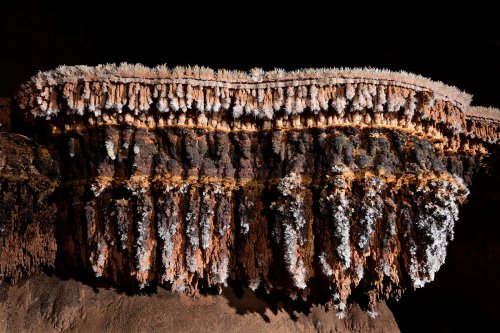 Grotte de Clamouse - Cristaux qui se sont formés dans un gour maintenant asséché. Les "tranches" de cristallisation correspondent à des niveaux d'eau. Des cristaux d'aragonite se développent sur des baguettes (pool fingers).(SP-17-0534)
