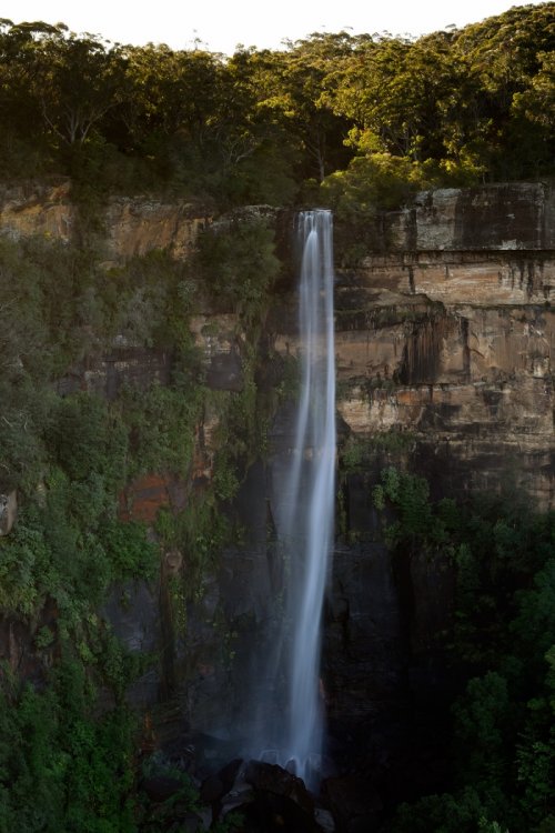 Fitzroy Falls (New South Wales, Australie) - Grande cascade de 80 mètres de haut(VO-17-0366)