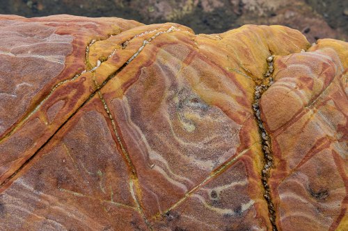 Mallacoota (Victoria, Australie) - Grès colorés sur la plage (détail)(VO-17-0478)