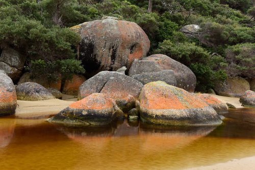 WilsonsPromontory (Victoria, Australie) - Rochers colorés le long de Tidal River(VO-17-0634)