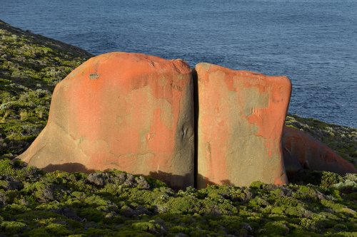Kangaroo Island (South Australia, Australie) - Remarkable Rocks dans Flinders Chase National Park : granites colorés le long de la côte(VO-17-0927)