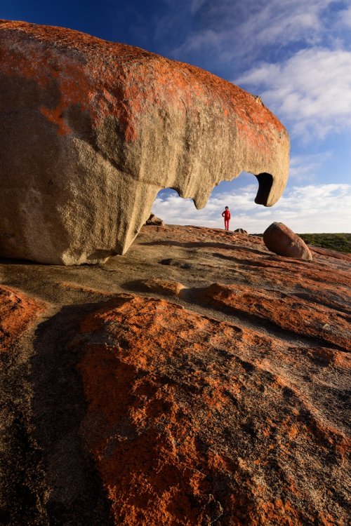 Kangaroo Island (South Australia, Australie) - Remarkable Rocks dans Flinders Chase National Park : blocs de granites érodés (VO-17-1000)
