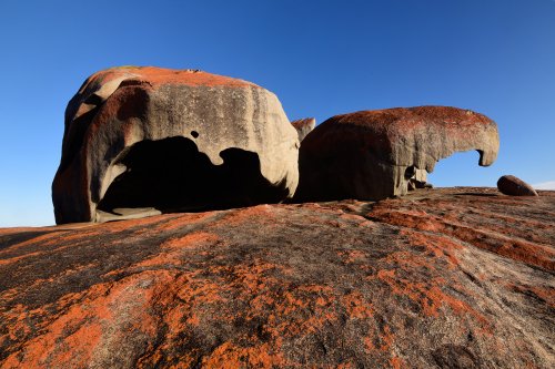 Kangaroo Island (South Australia, Australie) - Remarkable Rocks dans Flinders Chase National Park : blocs de granites érodés (VO-17-1023)