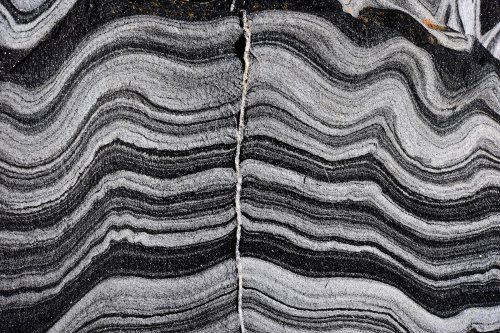 Kangaroo Island (South Australia, Australie) - Plage de Harvey Return : métagrès (metasandstones) : les plis sont dus à la schistosité (déformation liée aux contraintes tectoniques)(VO-17-1158)