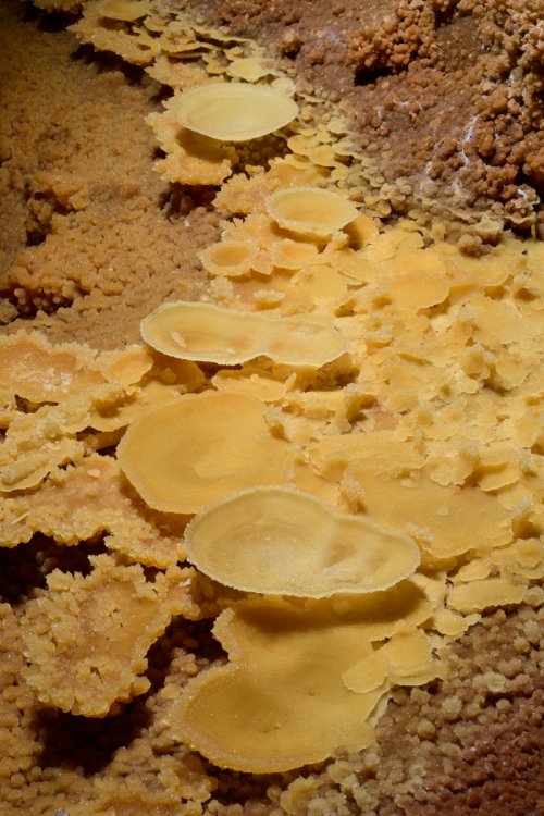 Gouffre de Cabrespine - Coupelles (vue d'ensemble)(SP-17-0599)