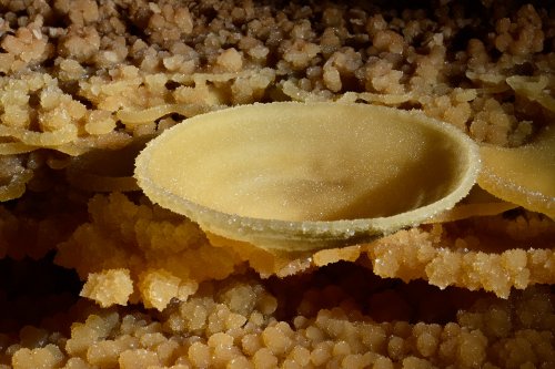 Gouffre de Cabrespine - Détail d'une coupelle isolée(SP-17-0610)