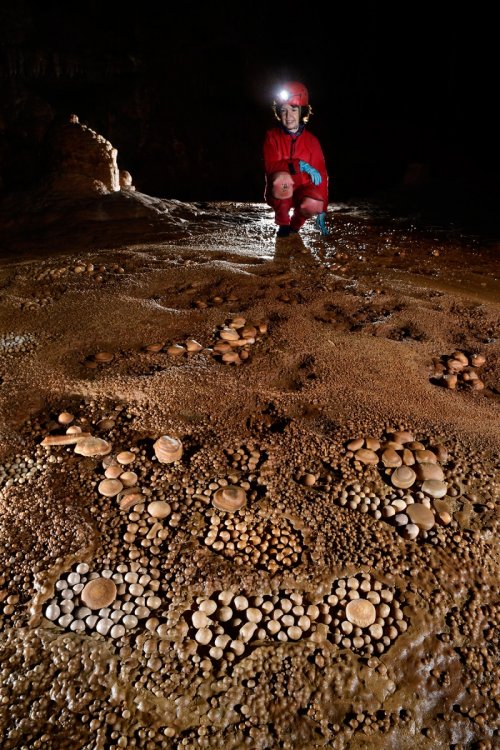 Balme del Pastre (Aveyron) - Salle avec nombreux nids des perles de cavernes(SP-18-0078)