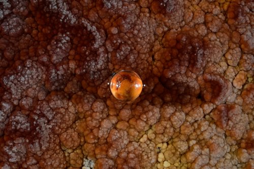 Réseau des Perles - Perle des cavernes orange  sur un sol calcifié rouge(SP-18-0025)