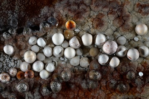 Réseau des Perles - Perles des cavernes blanches sur un sol calcifié rouge(SP-18-0020)