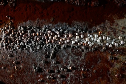 Réseau des Perles - Ensemble de perles des cavernes sur un sol calcifié rouge (vue ensemble)(SP-18-0007)