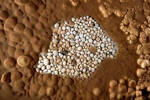 Aven de Rose (Plateau d'Albès, Hérault) - Nid de perles des cavernes(SP-17-1790)