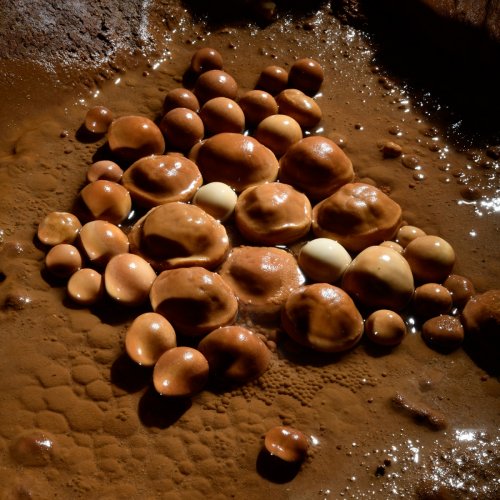Balme del Pastre (Aveyron) - Perles des cavernes marron à même le sol(SP-18-0114)
