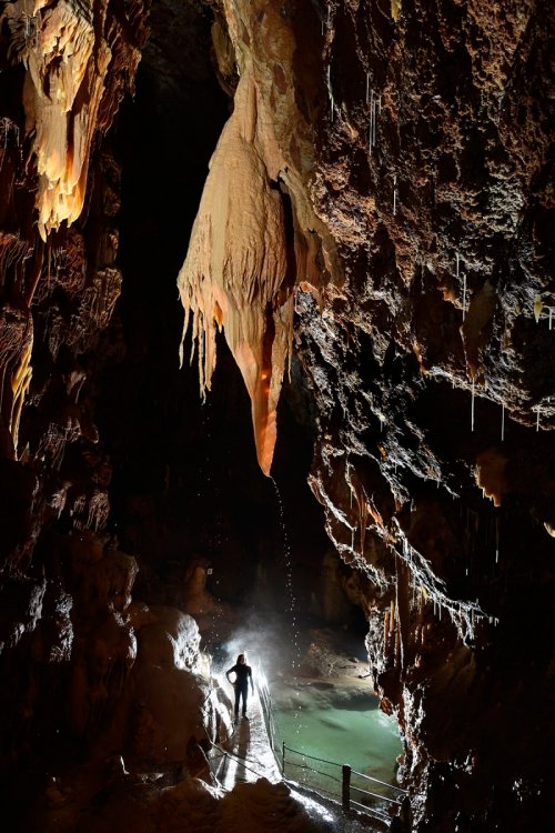Grotte de Dargilan partie touristique (Lozère) - Salle de la Fontaine avec "l'Oreille d'éléphant" (SP-18-0299)