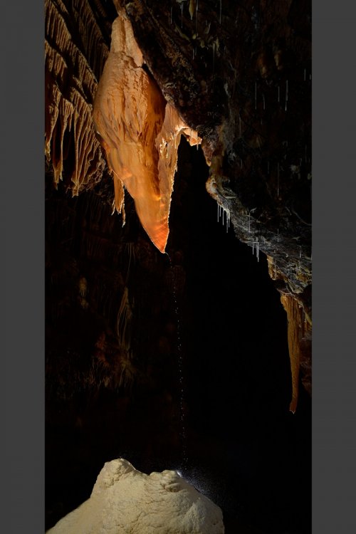 Grotte de Dargilan partie touristique (Lozère) - "Oreille d'éléphant" (Salle de la Fontaine )(SP-18-0301)