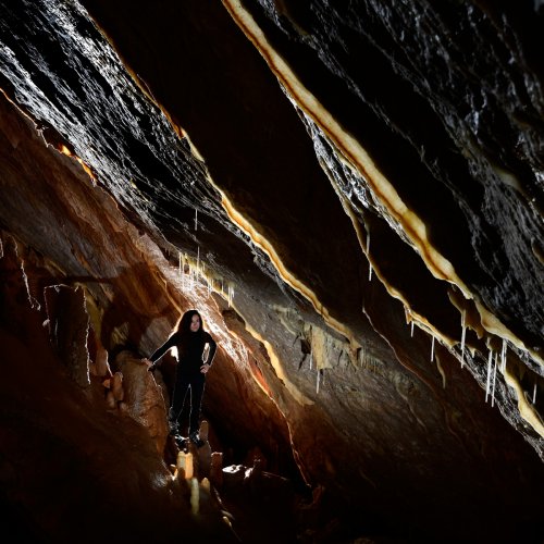 Grotte de Dargilan partie touristique (Lozère) - Draperies dans la partie basse de la grande salle du Chaos(SP-18-0236)