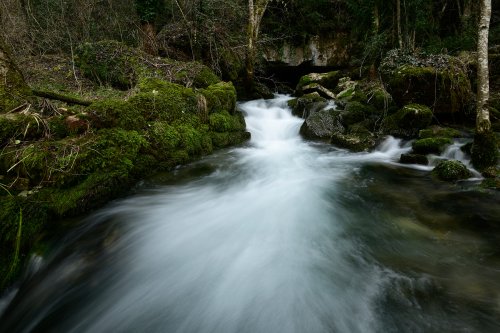 Source des Douzes (Causse Méjean, Lozère)(HY-18-0029)