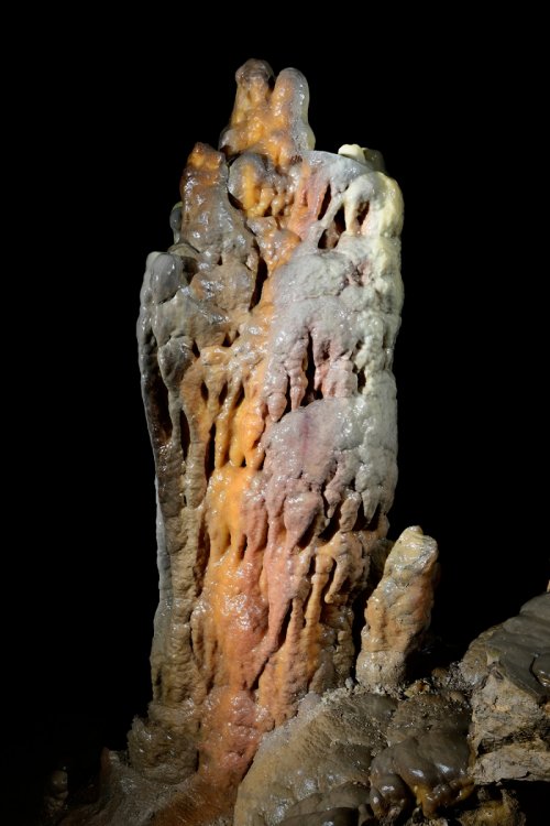 Grotte de Dargilan partie touristique (Lozère) - Stalagmite colorée faisant partie des sentinelles dans le couloir d'entrée de la grotte(SP-18-0214)