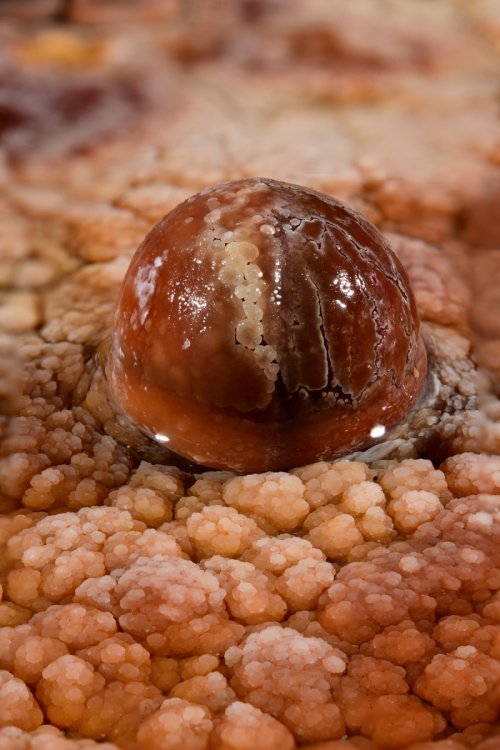 Réseau des perles - Détail d'une perle rouge reposant sur des cristaux orange(SP-18-0207)