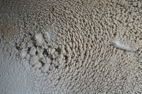 Réseau des perles - Cristaux de calcite blanche autour d'un petit nid de perles(SP-18-0193)