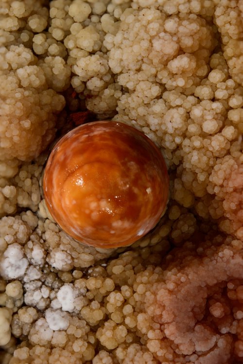 Réseau des perles - Perle orange reposant sur des cristaux jaunes(SP-18-0201)