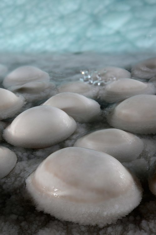 Réseau des perles - Perles blanches à moitié dans l'eau avec coulées bleu en arrière plan(SP-18-0182)