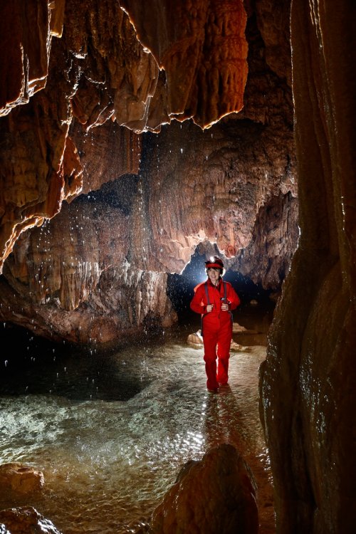 Sitting Bull Cave (USA - Nouveau Mexique) -  Spéléo dans une rivière concrétionnée regardant des gouttes tombant du plafond (SP-18-0940)