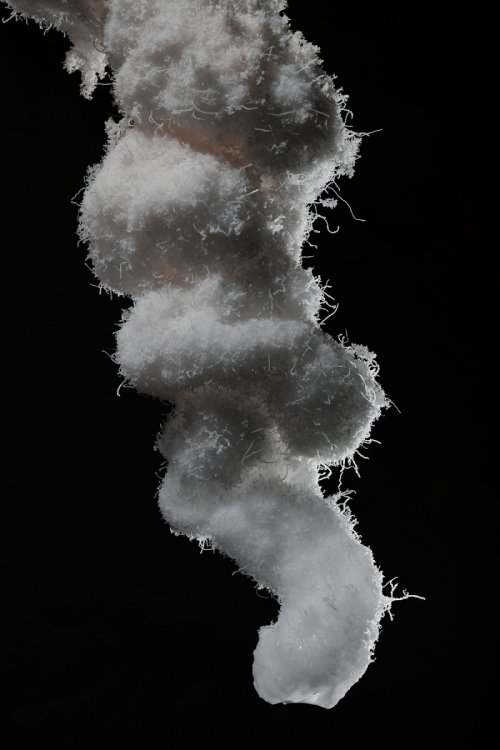 Bobcat Cave (USA - Nouveau Mexique) - Concrétion de sel vrillée avec petits filaments (SP-18-0818)