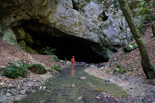Pestera Bulba - Entrée (résurgence de la rivière). La première partie de la cavité comprend des passages bas envahis par l'eau(SP-18-1834)