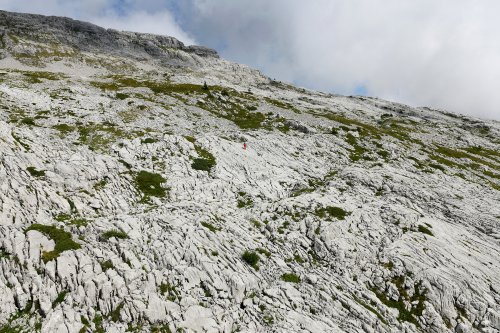 Montagne de la Schrattenfluh (canton de Lucerne, Suisse) -  Vue générale de la partie sud du lapiaz.(MO-18-0095)