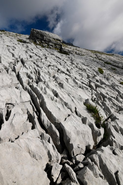Montagne de la Schrattenfluh (canton de Lucerne, Suisse) -  Lapiaz avec "butte" en arrière plan(MO-18-0060)