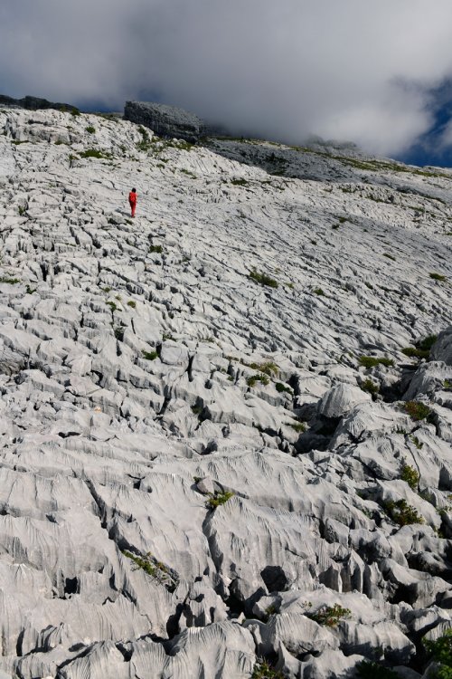 Montagne de la Schrattenfluh (canton de Lucerne, Suisse) -  Vue générale du lapiaz(MO-18-0051)