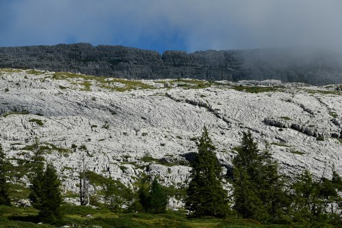 Montagne de la Schrattenfluh (canton de Lucerne, Suisse) -  Vue d'ensemble du lapiaz sur le versant est(MO-18-0047)