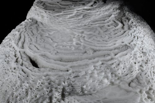 Grotte de Han (partie touristique) - Le Berceau de Proserpine (Salle du Dôme) : détail de microgours (SP-18-2343)