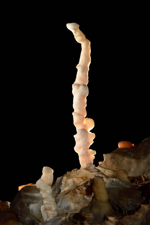 Grotte du Père Noël - Stalagmite tordue (SP-18-2289)