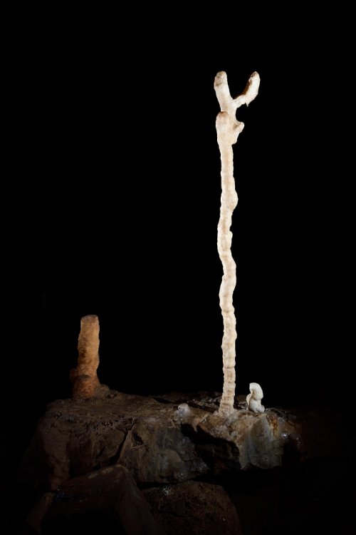 Grotte du Père Noël - Stalagmite d'un  mètre de haut (le "bicéphale")(SP-18-2282)