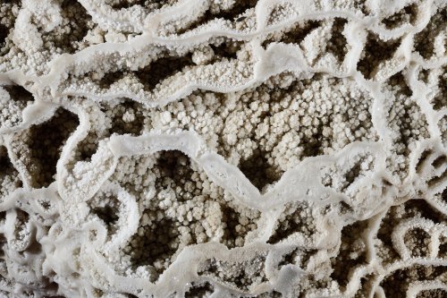 Grotte de Han - Galerie des Petites Fontaines : détail de micro gours(SP-18-2208)