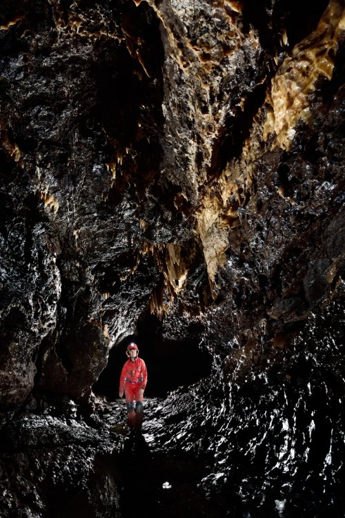 Grotte de Han (réseau Sud) - Galerie de l'Egout à l'étiage avec ses parois corrodées par l'eau(SP-18-2073)