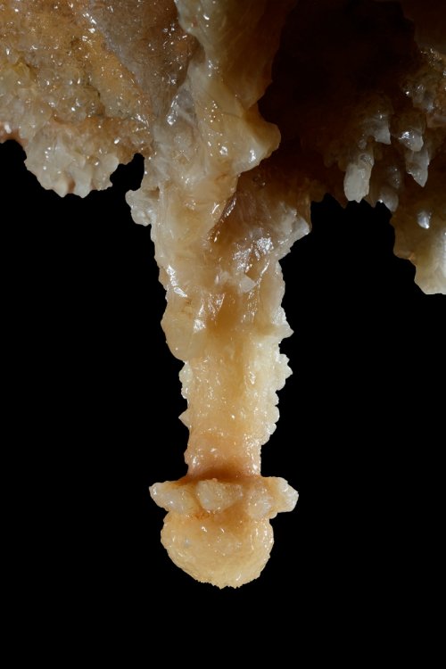 Réseau Bernard Magos (Barjac, Gard) - Stalactite cristallisée avec renflement(SP-18-1758)