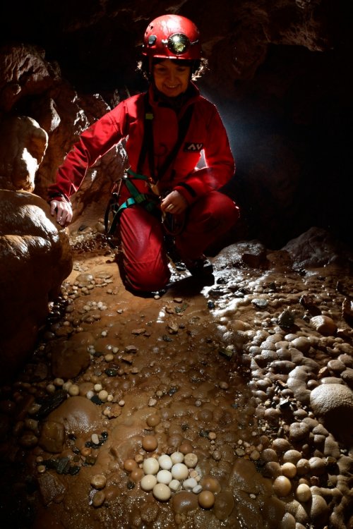 Aven de Rose (Hérault) - Nid de perles des cavernes(SP-18-2407)