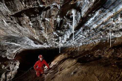 Grotte de Roquebleue (Hérault) - Aragonites et fistuleuse  dans une galerie avec les strates  de calcaires rubanés bleus au plafond (SP-19-0061)