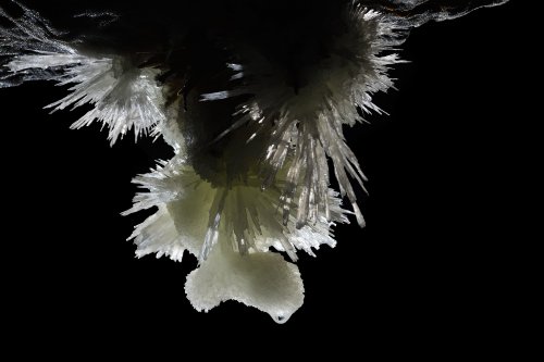 Grotte de Roquebleue (Hérault) - Détail d'une aragonite(SP-19-0036)